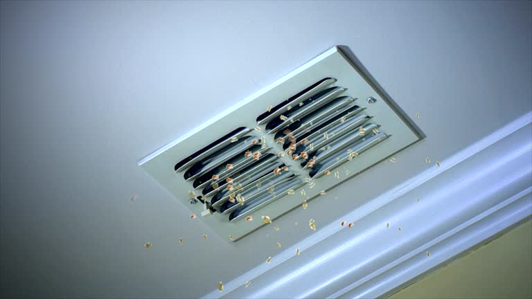 Best Air Duct Cleaning Near Me  in Murray, UT
