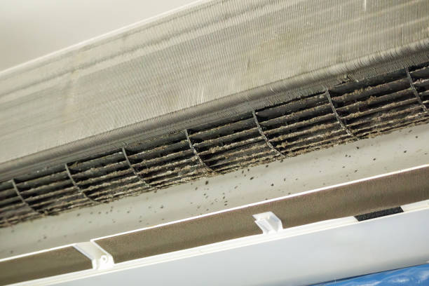Best Best Air Duct Cleaning Company  in Murray, UT